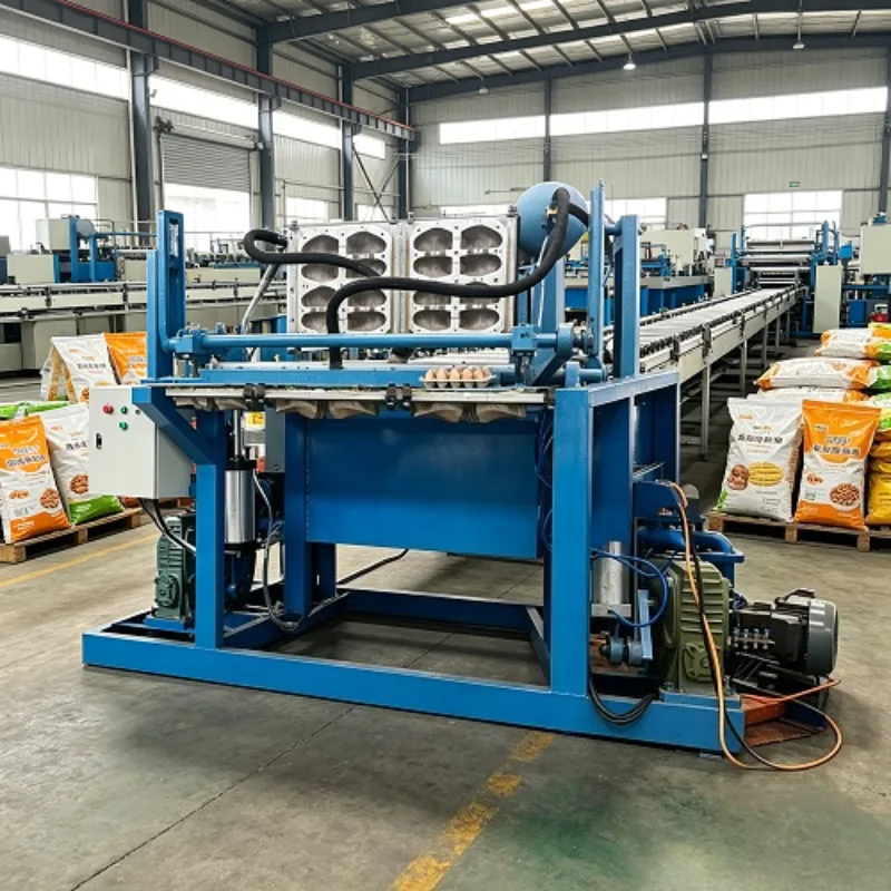Rental Egg Tray Machine | Compact Wheat Straw Pulp Egg Tray Former with Spray Coating Unit for Egg Cup Tray Production