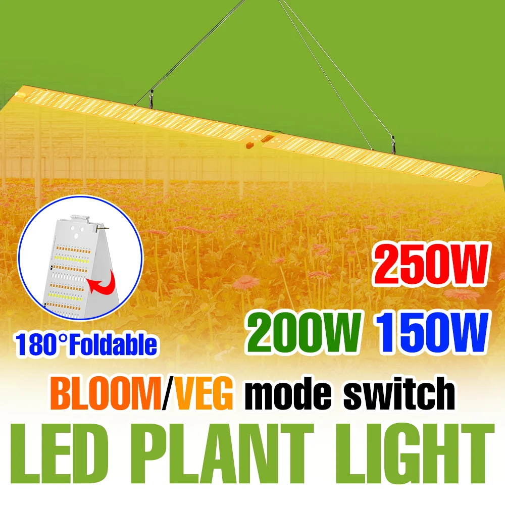 250wフルスペクトル植物育成ライトled量子ボード水耕栽培用フィルランプ温室テント野菜鉢植え栽培照明