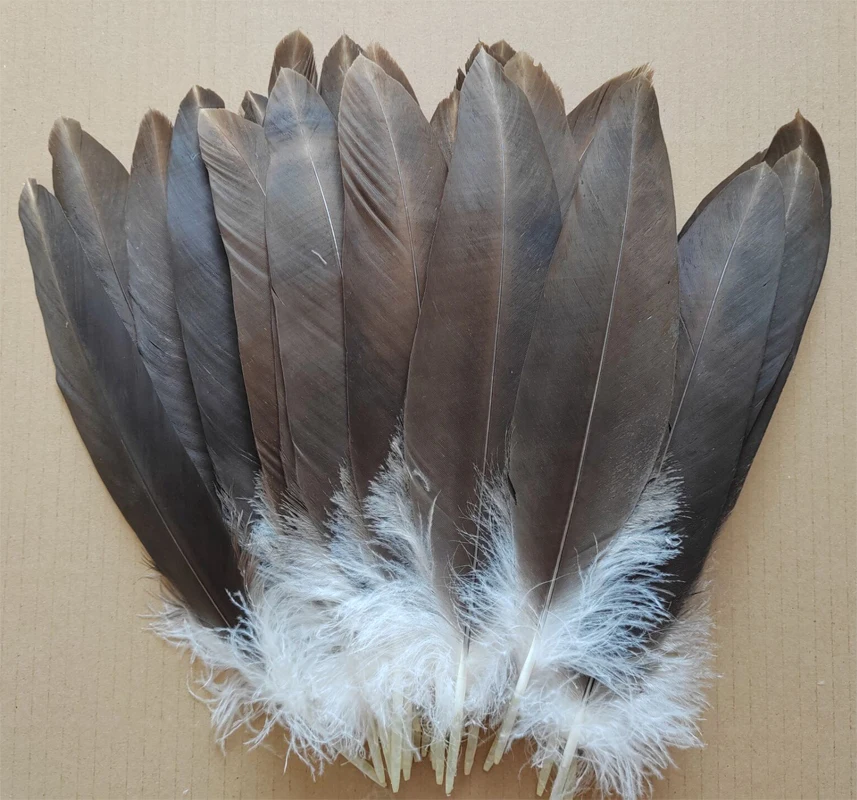 Natural Eagle Feathers,10 Pieces,14-16inches 35-40CM Long, Beautiful Large Bird Hawk Feathers for Stage Performance, Carnival