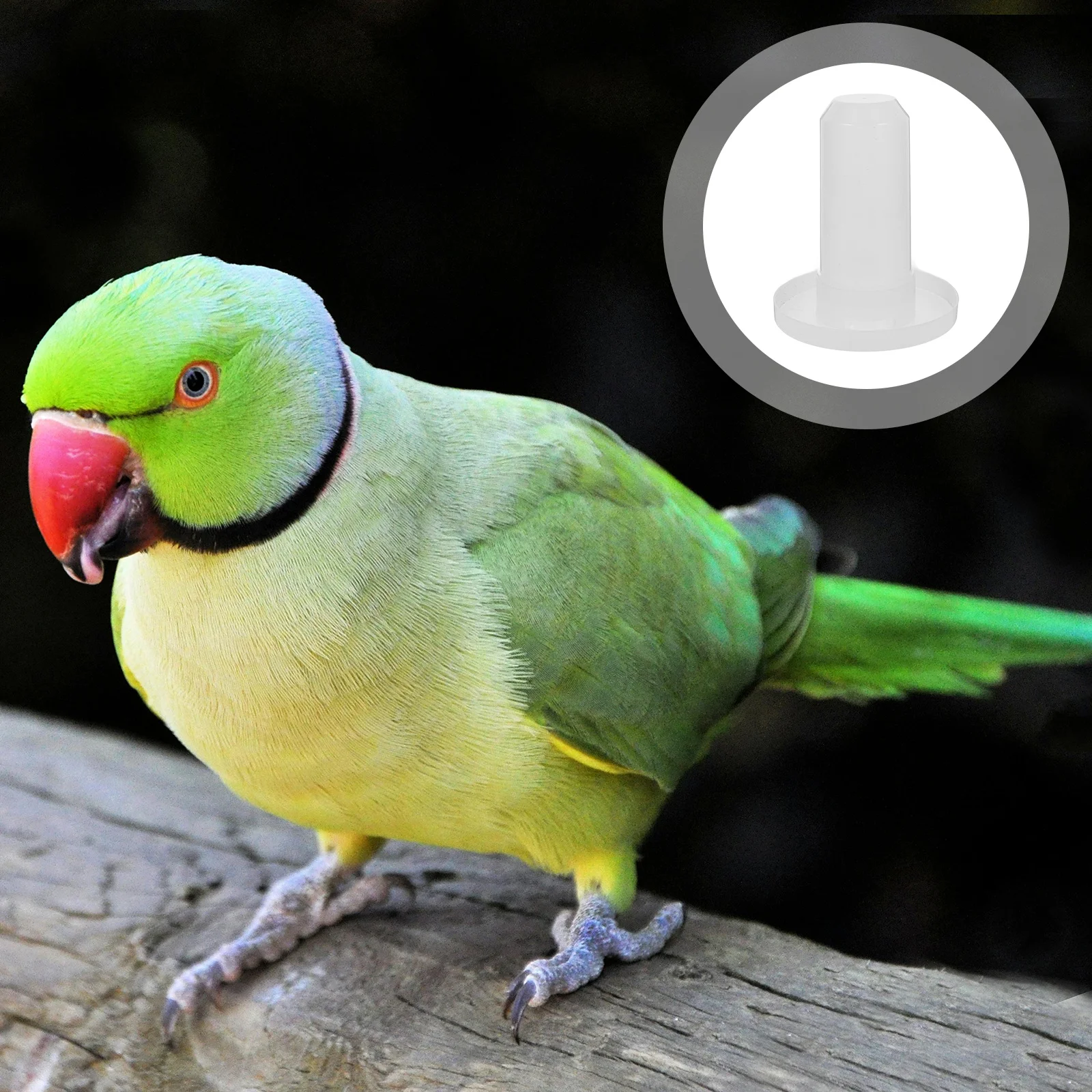 

Automatic Waterer Feeder For Chickens Large Capacity Plastic Poultry Drinking Cup Dual Function Chicken Feed Dispenser