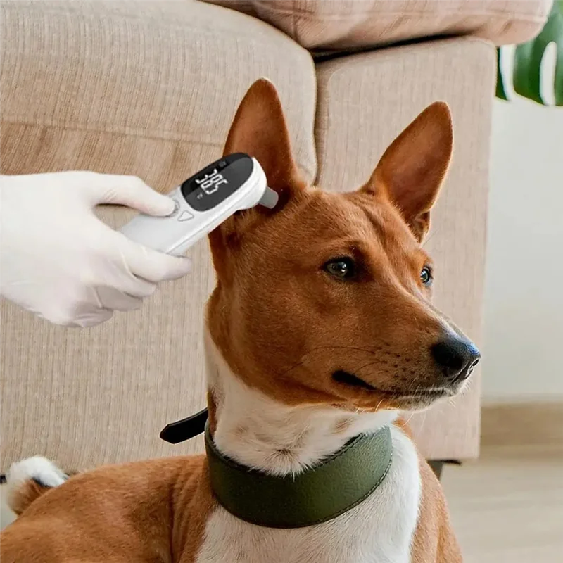 #23 Best Pet Thermometers to Buy In 2026