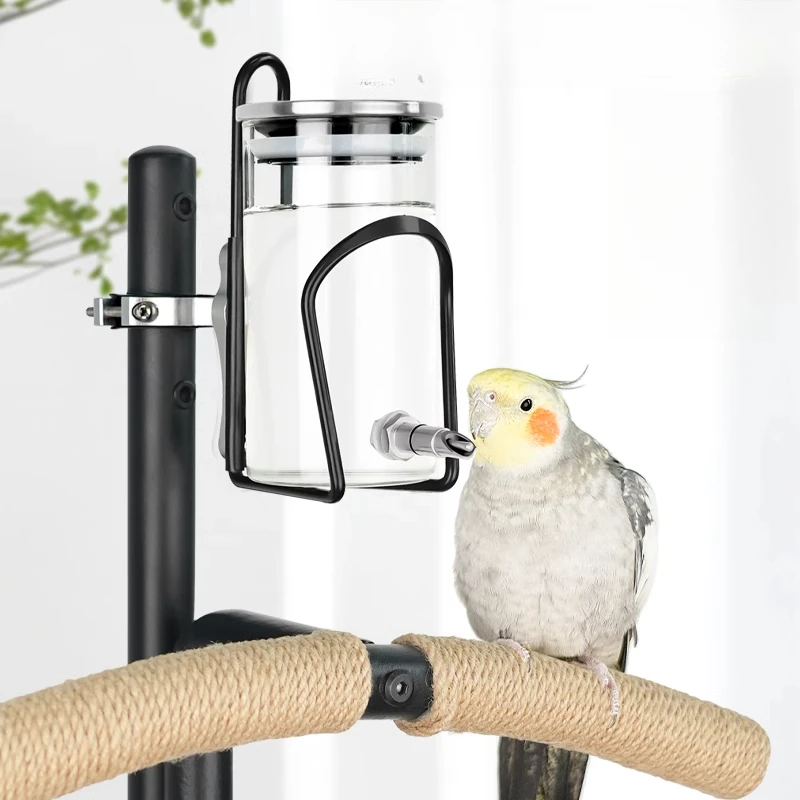 

Parrot firing pin, bird holding water dispenser, self-service drinking nozzle glass stainless steel cover to increase capacity