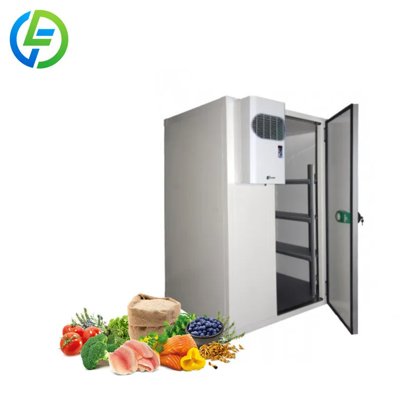 Customized Walk in Cooler and Freezer Industrial Refrigerator Mini Cold Storage Coldroom Small Rooms Commercial Grade System