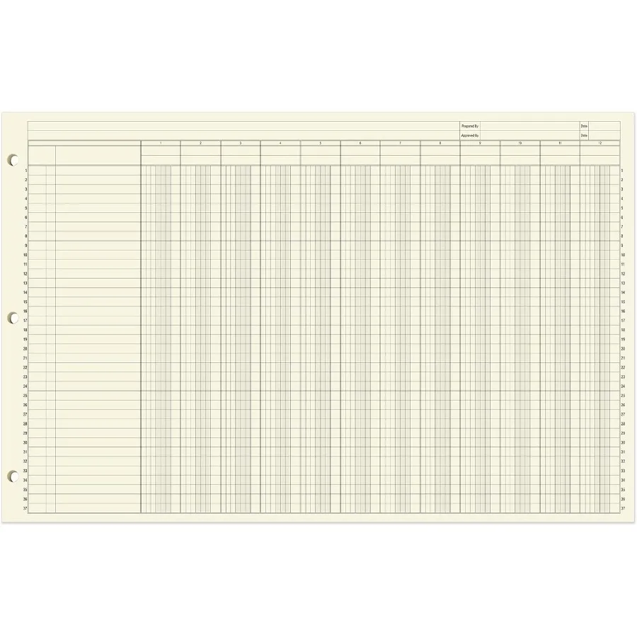 横型17インチ×11インチ、50ページの大判12列会計帳簿パッド。財務記録や在庫管理に最適。