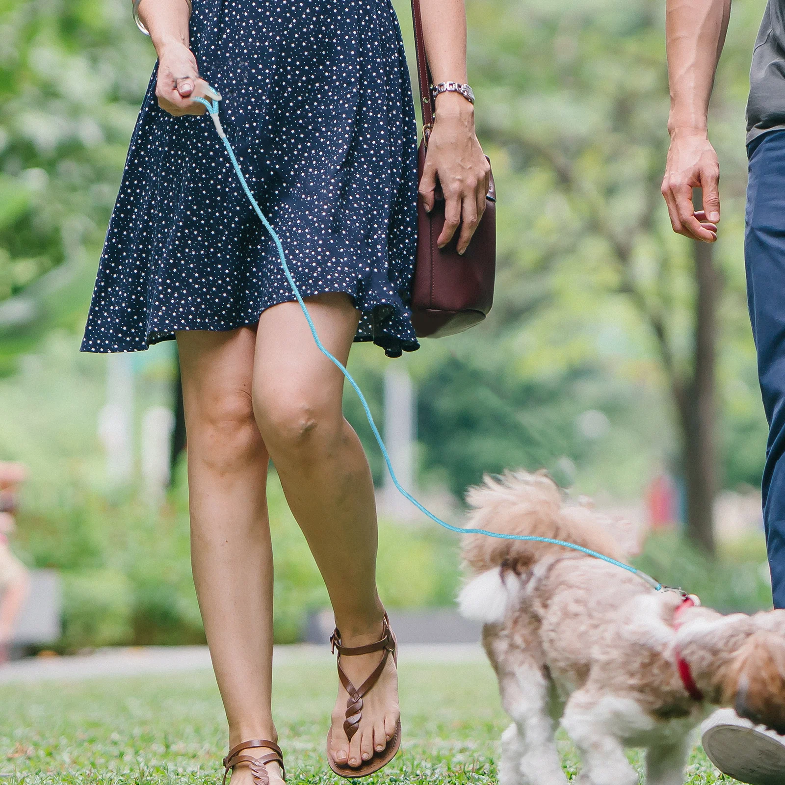 

Dog Harness with Handle Lightweight Rope Leash for Small Dog Outdoor Walking Jogging Training Comfortable Breathable Design