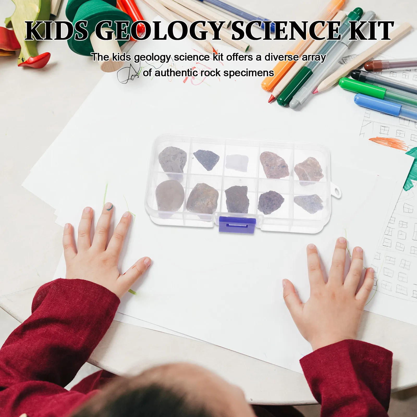 Rock Specimen Kit Natural Mineral Samples for Geology Education Classroom Science Lab Collection Display