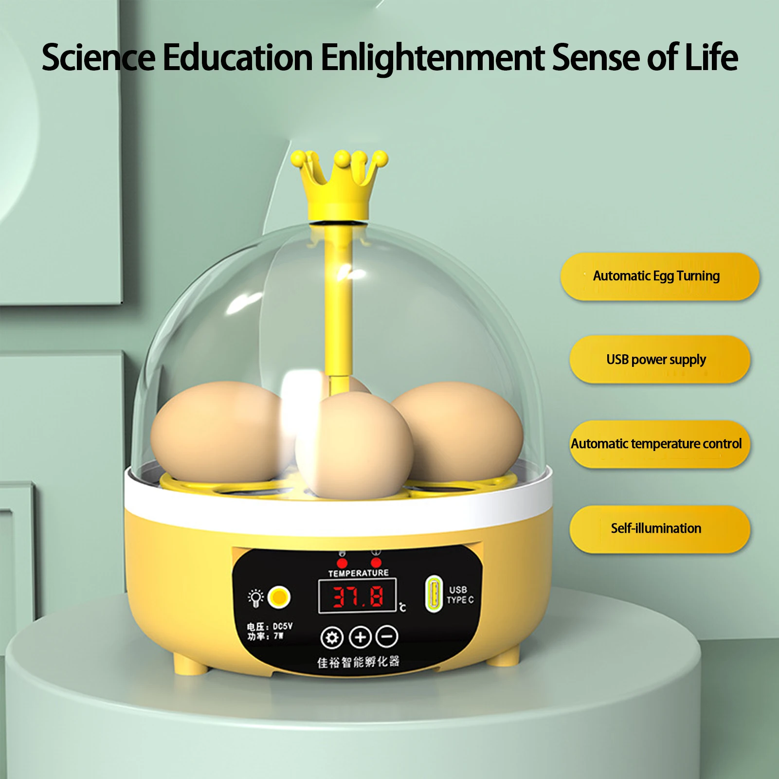 ABS Fully Automatic Chicken Hatcher Portable And Efficient Hatching Solution Automatic Temperature