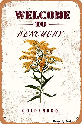 Welcome to Kentucky-Goldenrod State and Territory Flowers Plants Farm Garden Country Wall Decoration Iron Poster Painting Tin Si