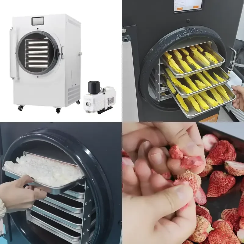 for DALLE 10kg Vacuum Freeze Dryer 110V 6 Trays Commercial Household Food Vegetable Fruit Meat Dehydrator Machine