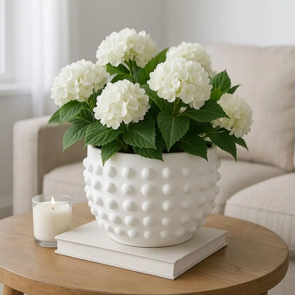 

Elegant White 6 Bubble Textured Planter for Indoor and Outdoor Use - Perfect for Home and Patio Decor