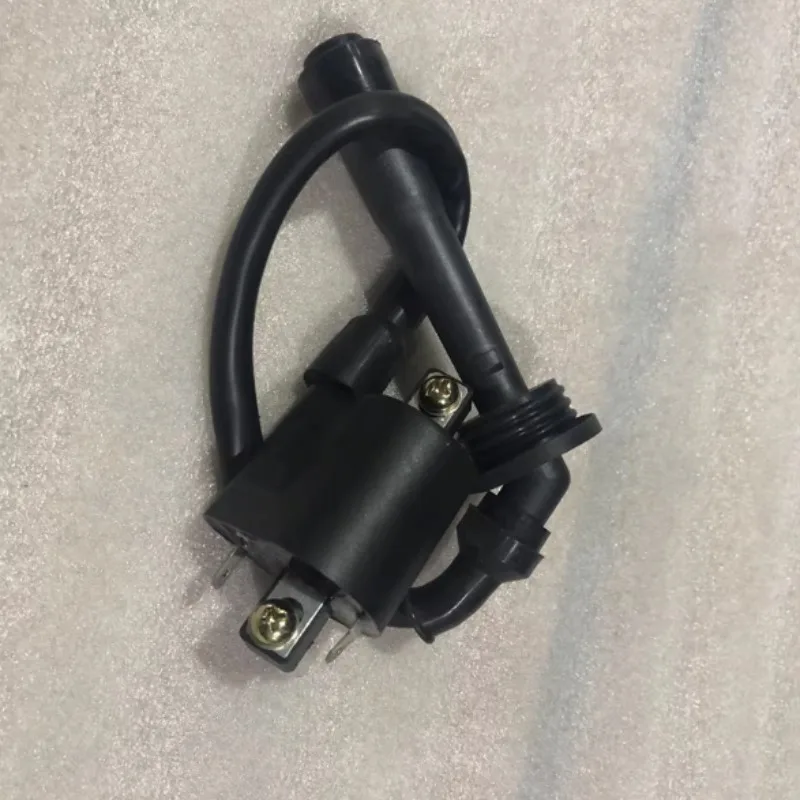 

For Benelli Motorcycle Lion 250/Xiao Jinpeng TRK251/Ignition Coil BJ250 BJ250-18 High Voltage Bag
