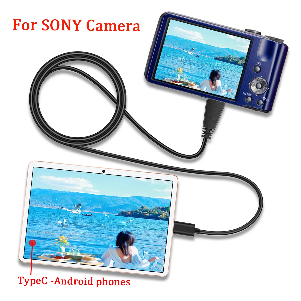 for SONY Cameras to Android phone typeC OTG cable for Sony DSC-WX5,WX7,WX9,WX10,W320,W360,W580,W390,W570,TX5,TX7,TX9,TX10,TX100,