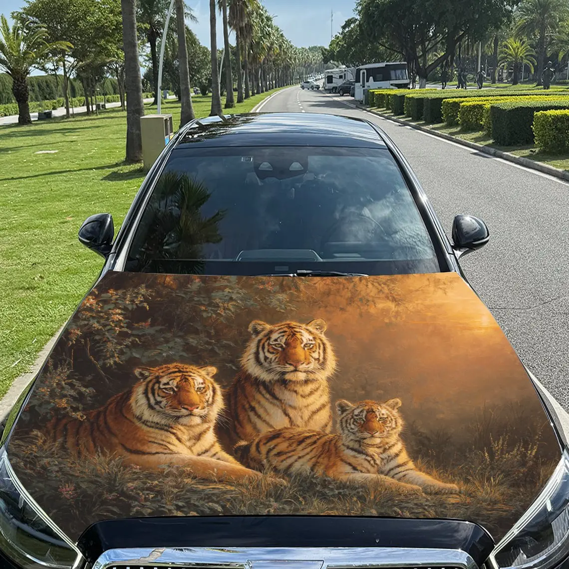 Car Decals Tigers with a Resplendent, Sunlit and Wilderness - Evoking Background Car Hood Sticker, Waterproof Self - Adhesive Vi