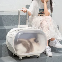 High Aesthetic Pet Trolley Box Portable Travel Cat Basket Ventilated And Breathable Transport Bag Silent Pulley Space Capsule