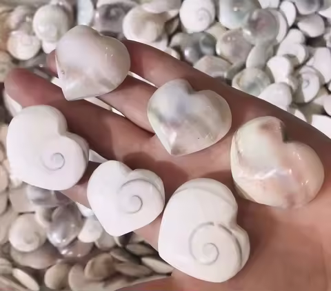 10pc Natural Mineral Sun Shell Heart shaped Specimen Healing Reiki Shiva Eye Crystal Decoration Room Bonsai Ornaments Aquarium