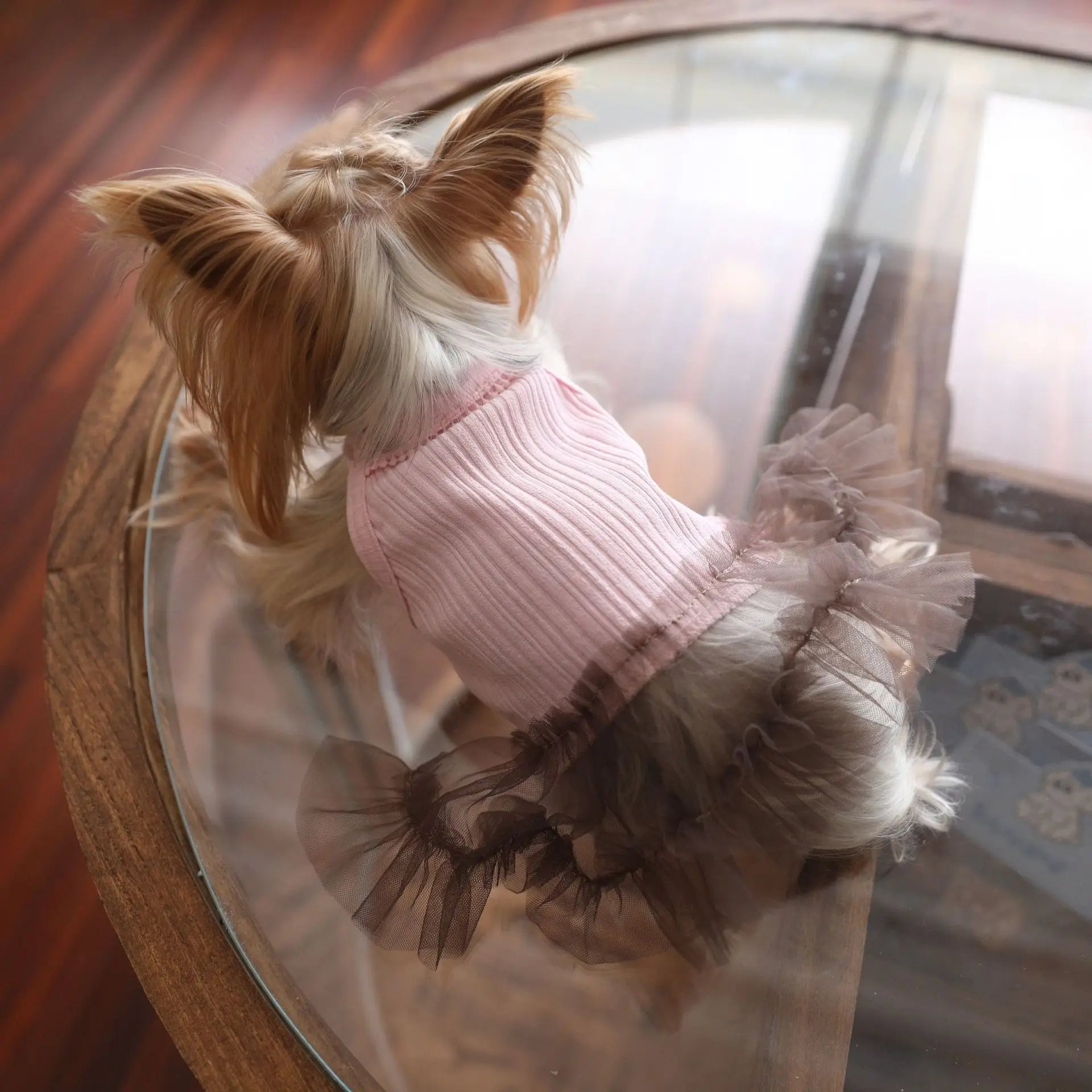Chaleco de malla rosa para gatos y perros – Falda y ropa Yorkshire - imagen 4