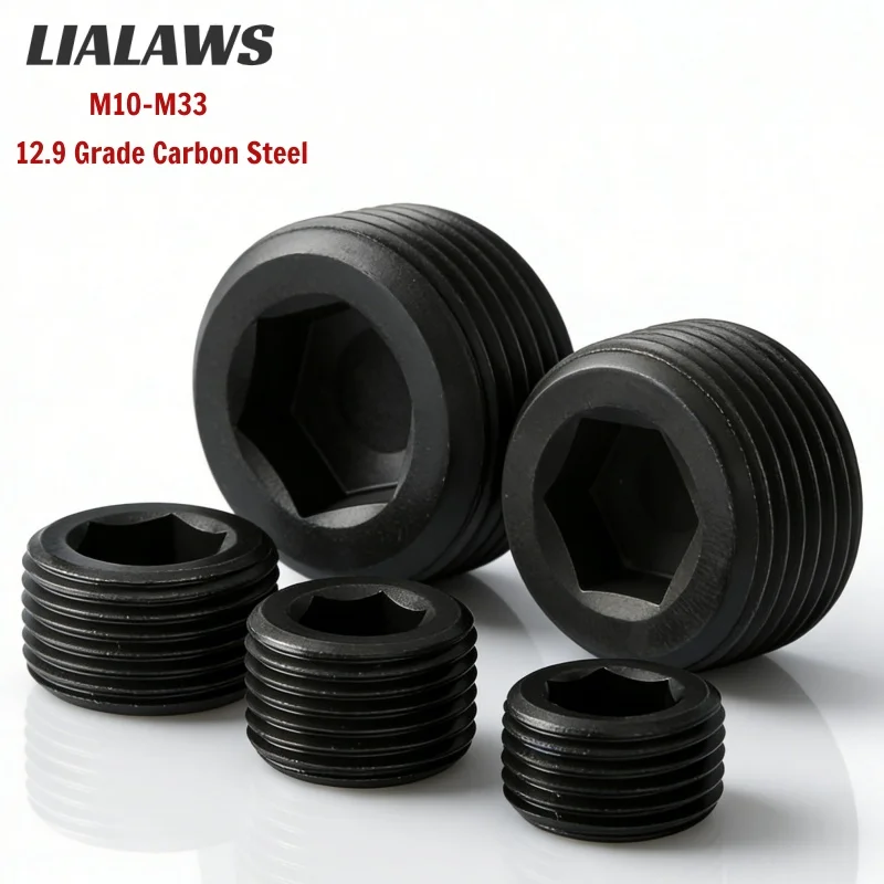 M10 M12 M14 M16 M18 M20 M22-M33 Hex Socket Pipe Plug 12.9 Grade Carbon Steel High Strength Metric Male Thread Oil Blanking Plug