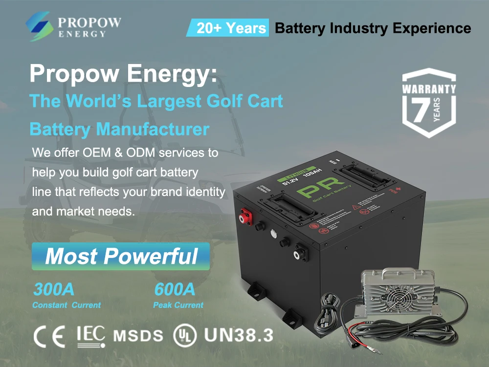 BT Monitor High Power Connect In Parallel 24V 36V 48V 72V 50Ah 60Ah 72Ah 105Ah 160Ah LiFePO4 Golf Cart Batteries view 4