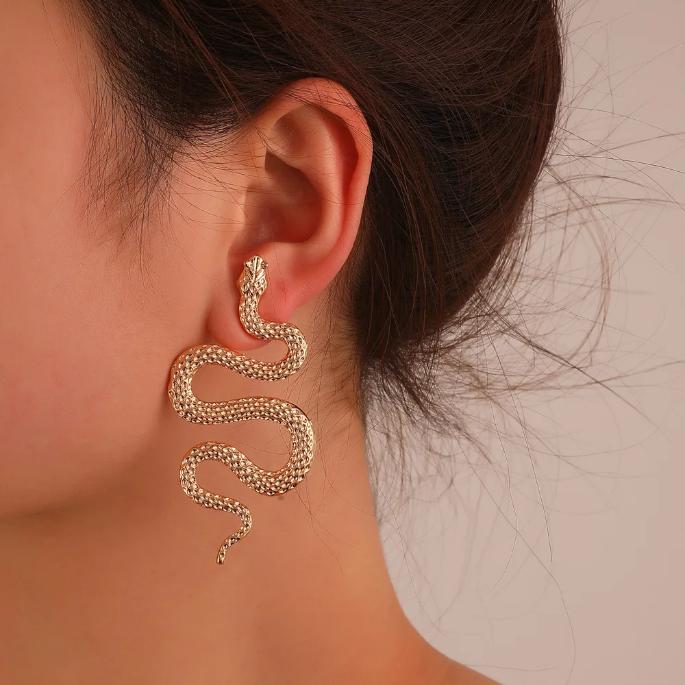 Punk Snake Drop Earrings for Women Retro Geometry Exaggerate Metal Animal Earrings Accessories Bar Birthday Party Jewelry Gifts