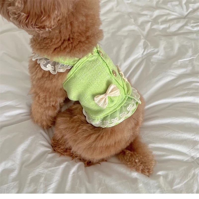 

Dog Clothes Green Lace Ruffle Buttons Applique Dog Party Dress with Hat Dog Girls Female Clothing Chihuahua