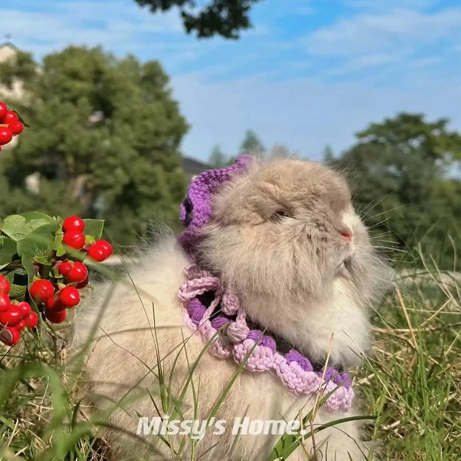 1pcs/Handmade crochet pet collars - Cute Halloween necklaces for cats and puppies, cute pet accessories