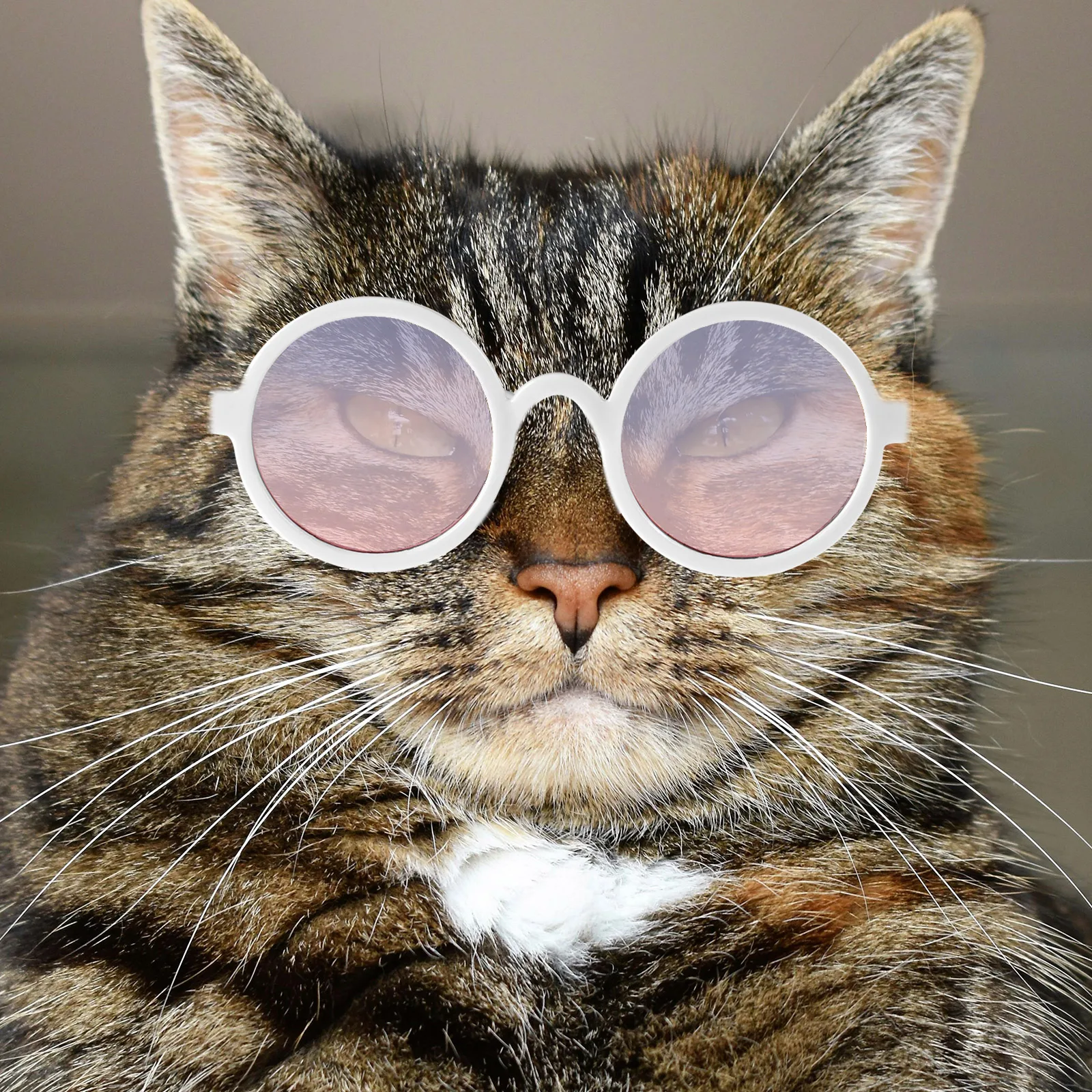 

2pcs Cool Pet Glasses for Daily Wear Photo Props Black Gradient Dog Cat Costume Decorative Supplies Fashion Accessories