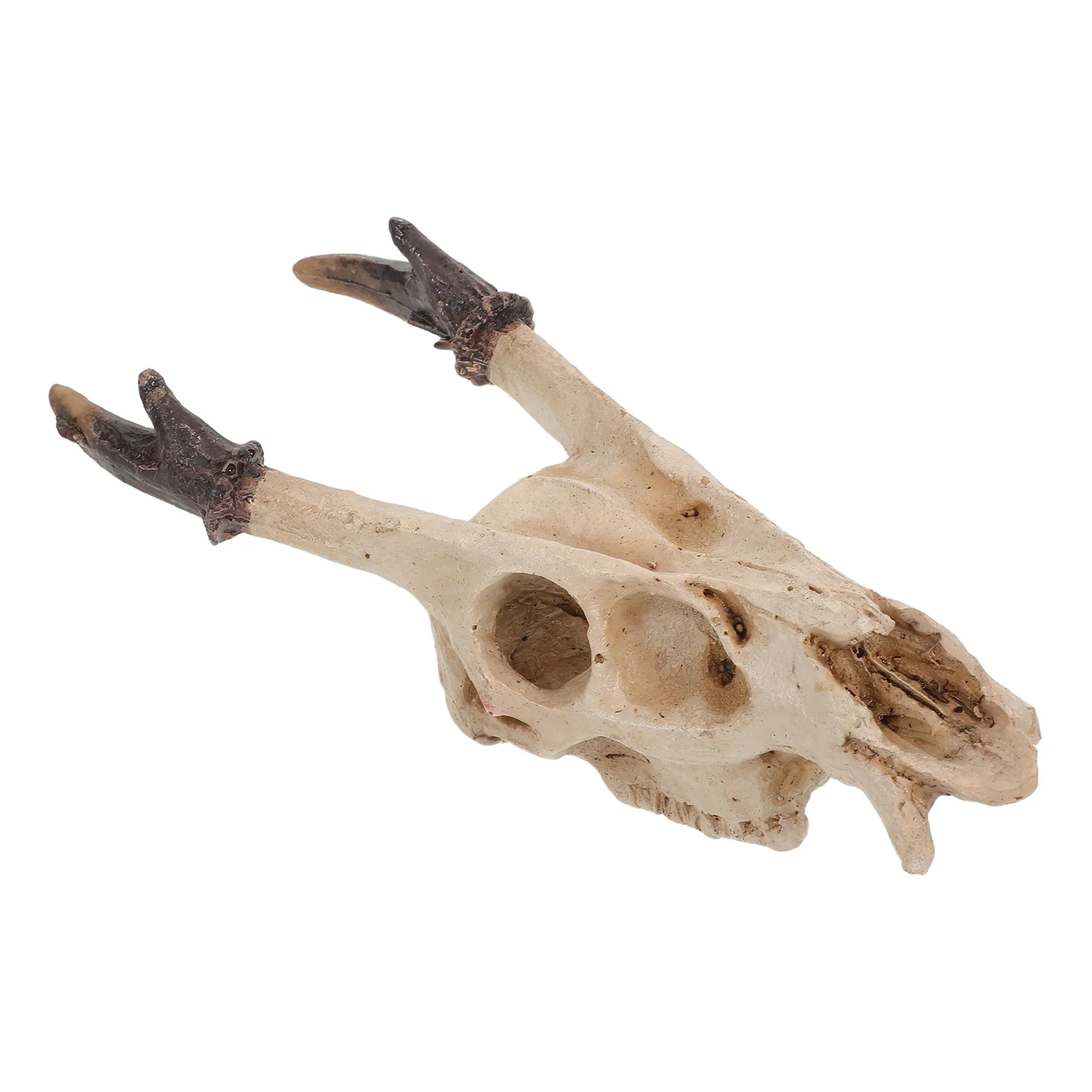 

1pcs Reptile Hide Decor Resin Lifelike Skull For Bearded Dragon Fish Turtle Frog Habitat Cave Terrarium Ornament Reptile