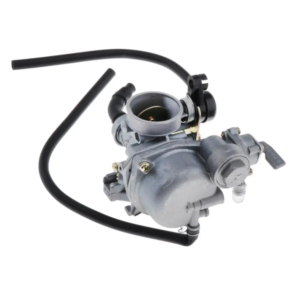 Zinc-Alloy PZ19 19mm Carburetor Carb Assembly for DY100 CD110 Motors