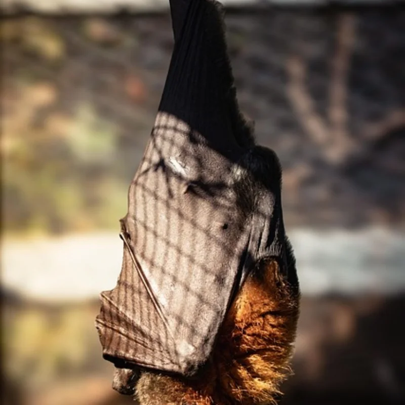 

4 шт., 110 мм, RC короткий курс, комплект ободов колес для пустыни, шестигранная ступица 12 мм для 1/10 RC trxs, тригги с дистанционным управлением