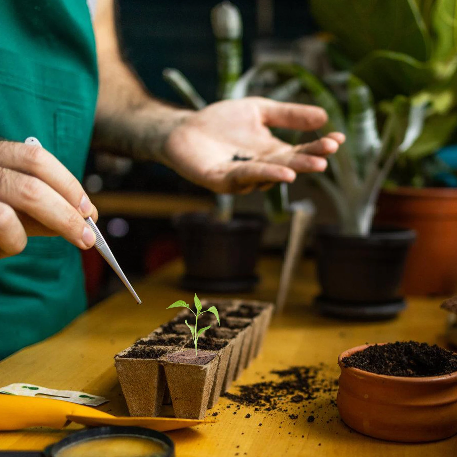 

40pcs Seed Starter Blocks Grow Cubes Plugs Nutrient Soil Cultivation Nursery Blocks Gardening Supplies Transplantation