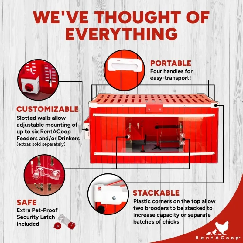 大型赤い納屋雛飼育セット（加熱プレートと止まり木防止コーン付き）、雛用餌入れ2個、雛用給水器2個、スイング付き