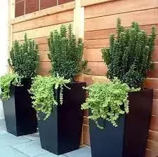 Outdoor Raised Garden Corten Steel Planters Rectangular Planter Box