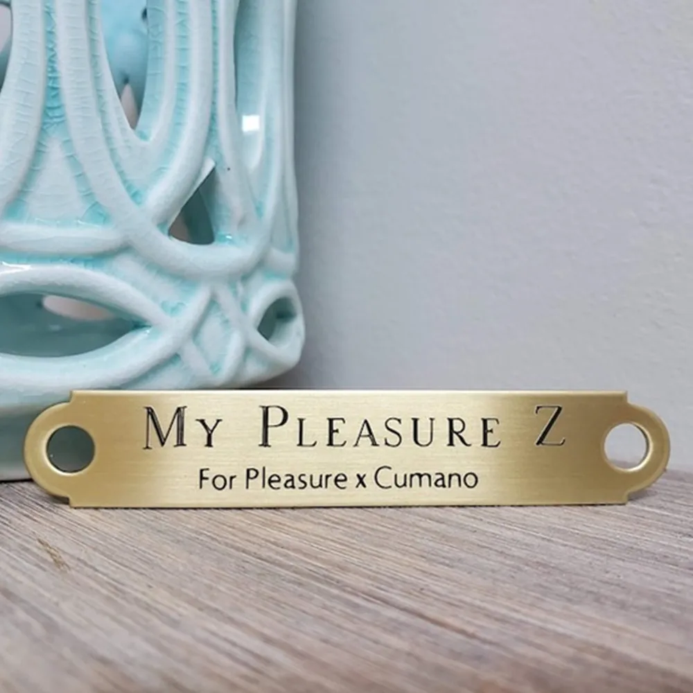 

Именная табличка из нержавеющей стали с гравировкой для ошейника питомца Модный ювелирный подарок для любителей лошадей: браслет-мартингал