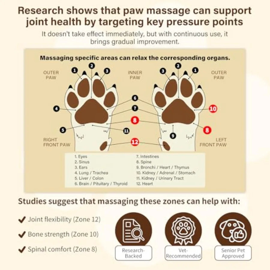 Kit de Massage des pattes de chien 4 en 1, avec baume naturel des pattes et bâton d'acupression, Support de santé des articulations pour chiens et chats âgés, améliore le Mobil