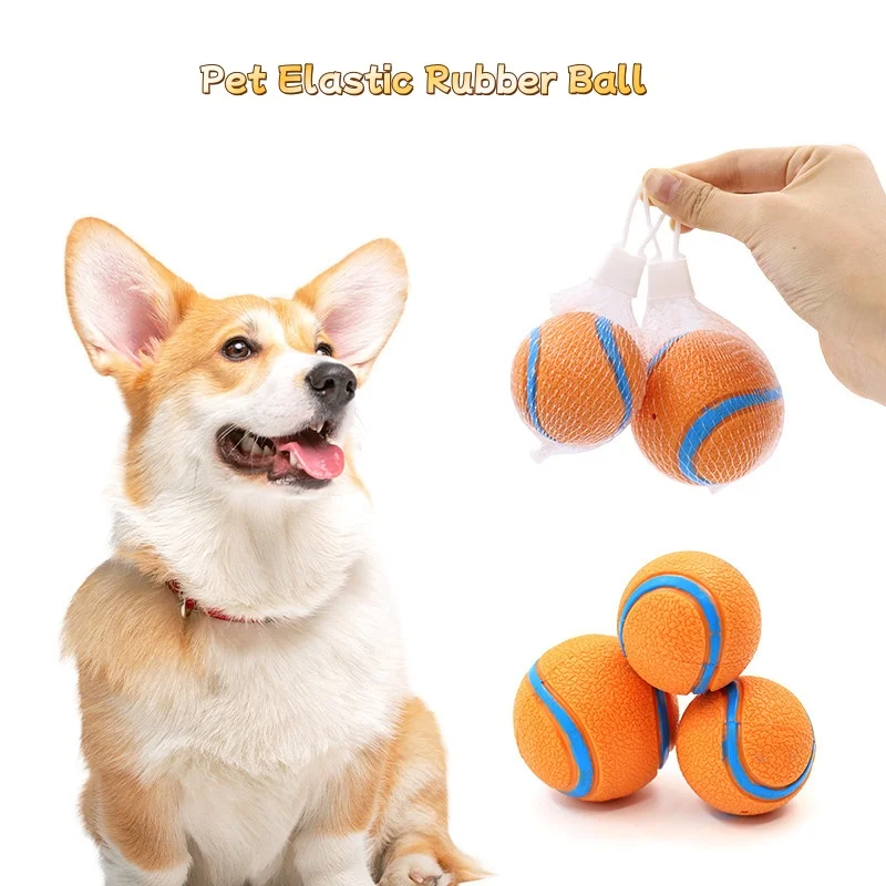 #35 Best Dog Balls to Buy In 2026