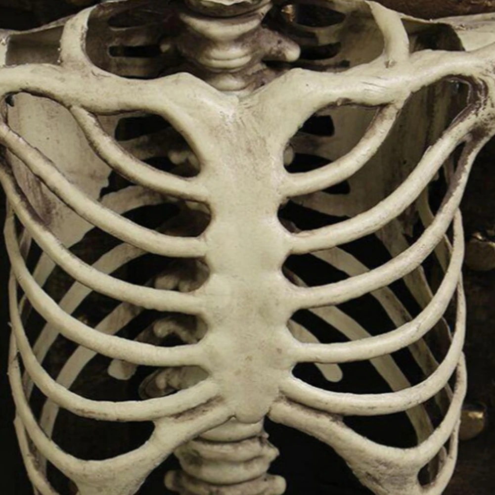 Halloween Decorative Skull Sculpture Movable/Posable Joints Human Skeleton Figure Full Size for Yard Garden Patio Haunted House