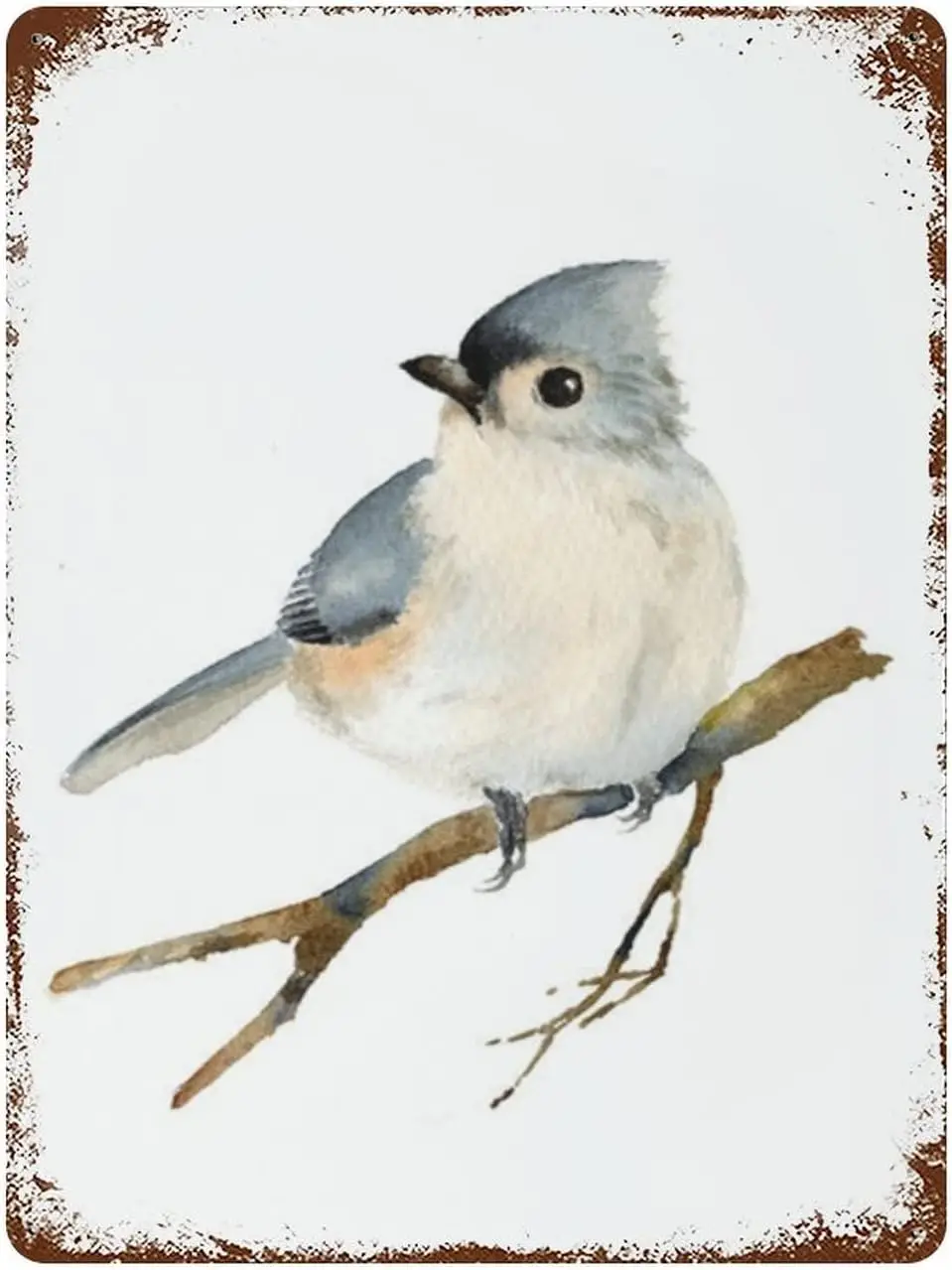 Tufted Titmouse Bird Vintage Metal Plaque Sign Retro Poster Tin Signs For Women Men Garden Wall Decor Home Bat