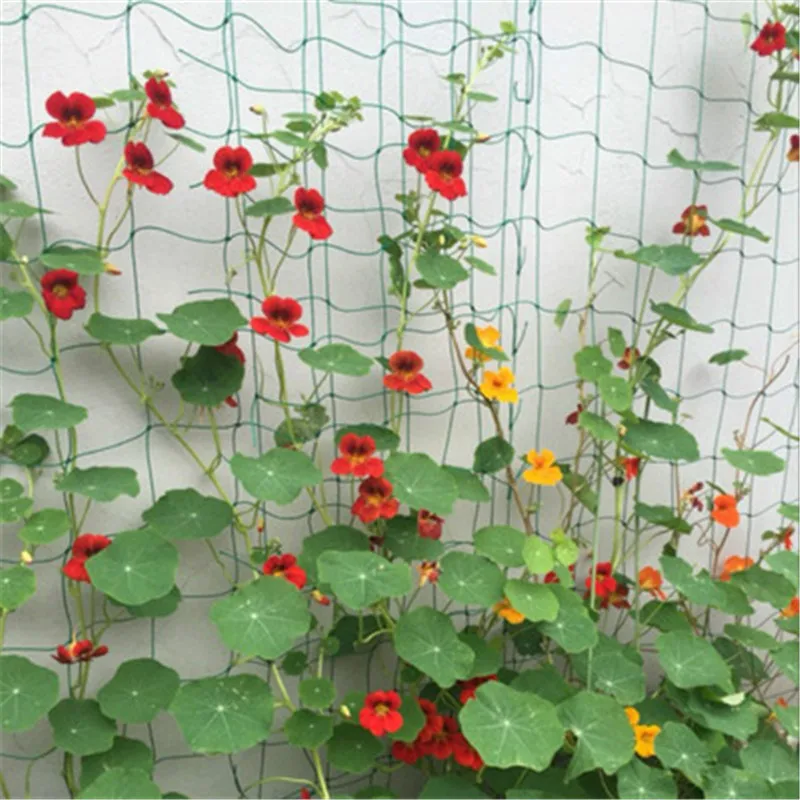 

Plant climbing rattan net Gardening net Garden decoration Home gardening Protective net for vegetables, fruits and flowers