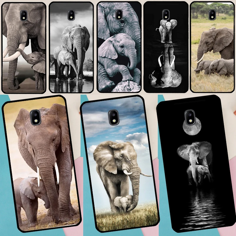 Elephant Baby Natur…