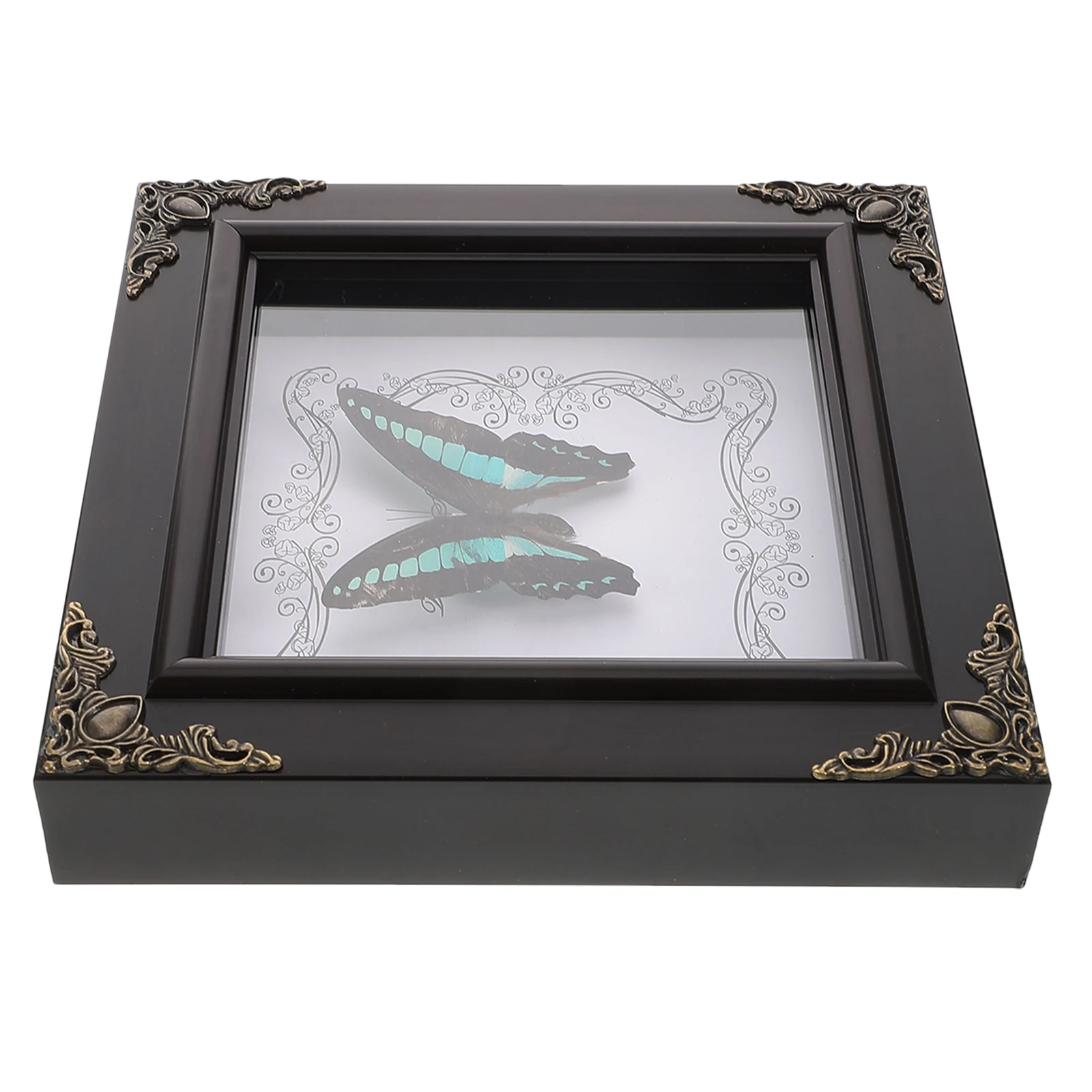 

Butterfly Specimen Decorative Painting Framed Wall Displays Real Butterfly Vintage Home Euros Style Picture Frame
