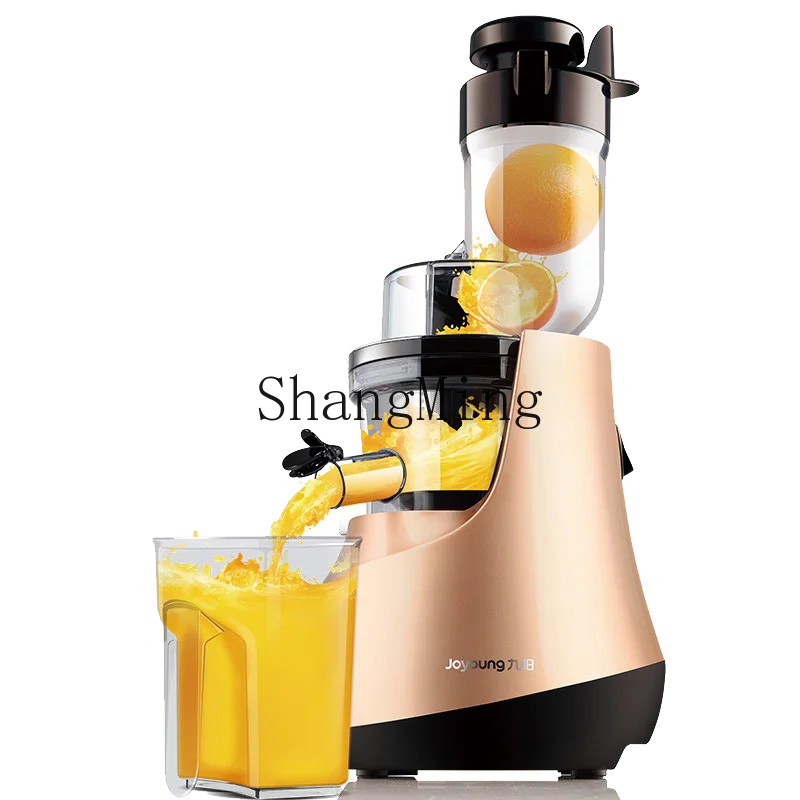 ZYY Macchina per succhi fritti automatica per frutta e verdura per uso domestico multifunzionale di grosso calibro