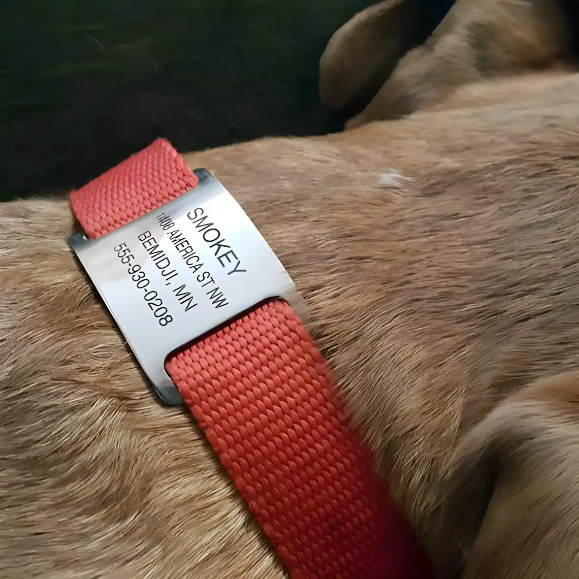 Personalized Dog Tag for Pet Collar Stainless Steel Dog ID Engraved Name Phone Address Identification Tag Bulk Pet Jewelry