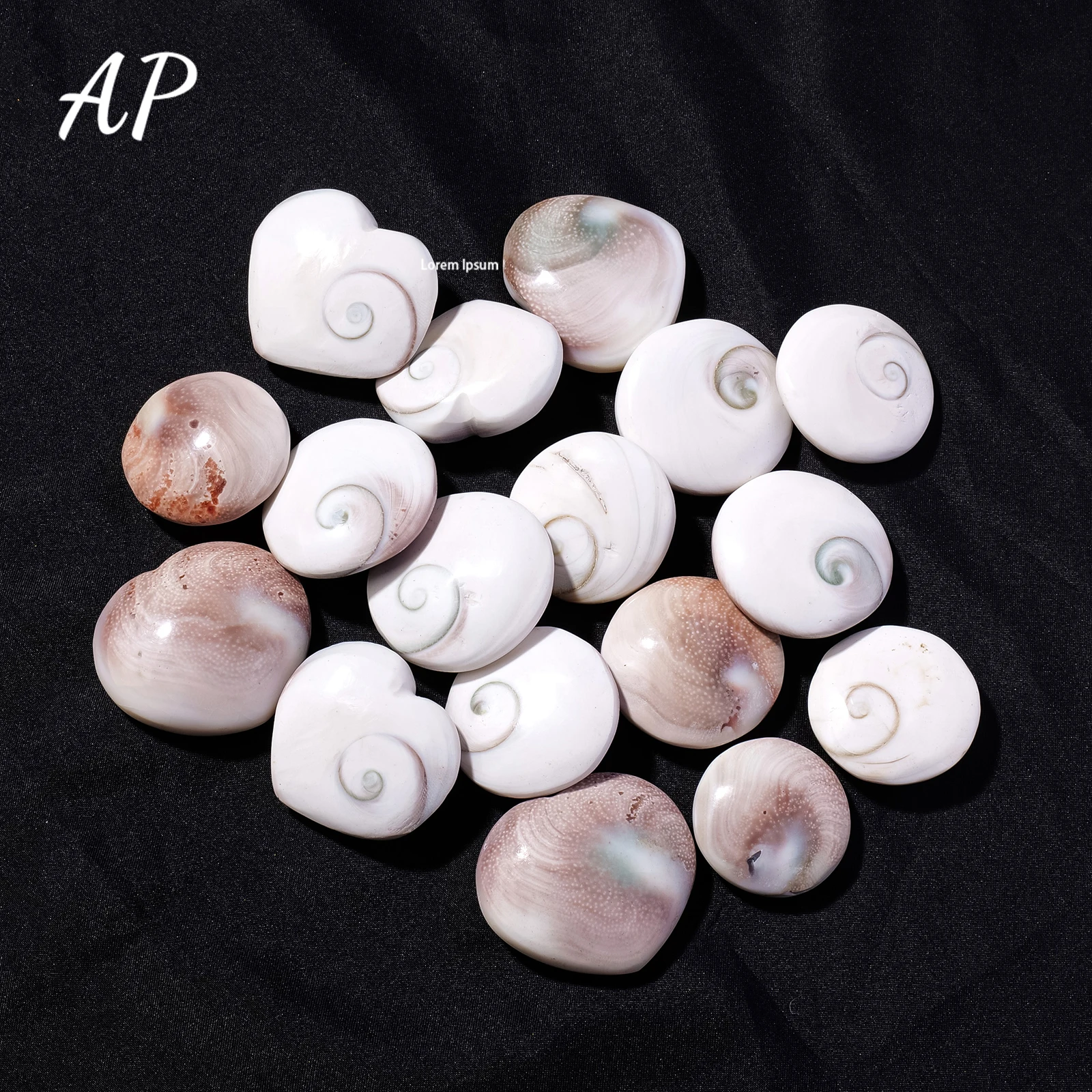 1pc Natural Crystal Semi Precious ThreadSun Shell Heart-shaped Conch Hard Shell Fossil