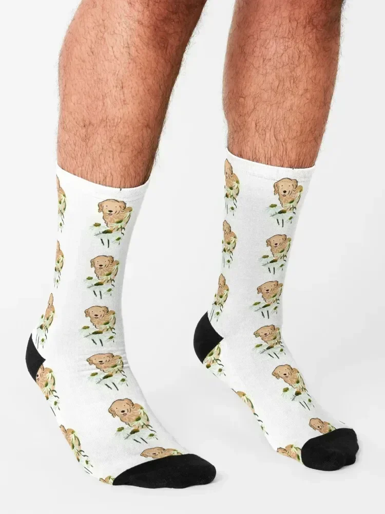 Flower Queso Socks fashionable floral custom sports moving stockings Mens Socks Women's