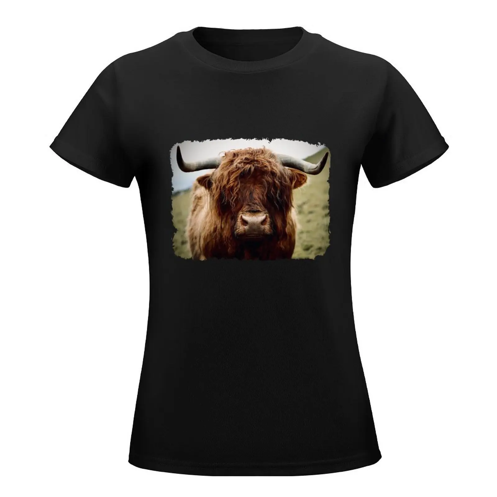 highland cattle T-Shirt Blouse animal print customs design your own hippie clothes workout shirts for Women loose fit