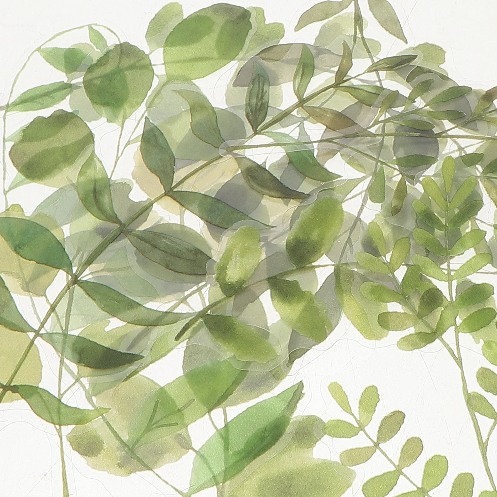 مجموعة مواد Cyanotype DIY ألوان نابضة بالحياة فريدة من نوعها لعشاق التصوير الفوتوغرافي أصباغ سائلة عملية مجموعة أساسية ألوان مائية #5