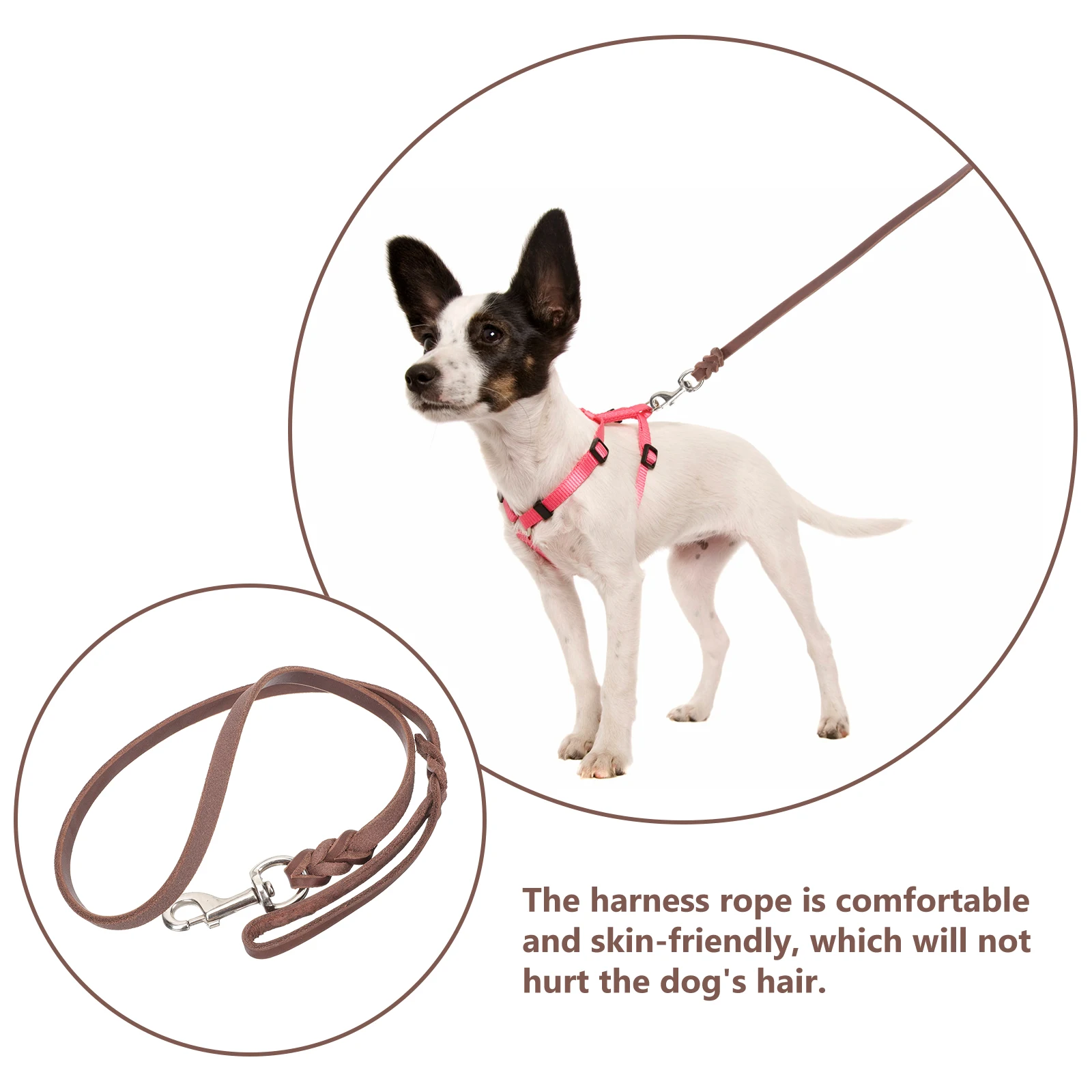 

Dog Leash Pet Rope Traction Training Puppy Leads for Walking Leading Iron Simple