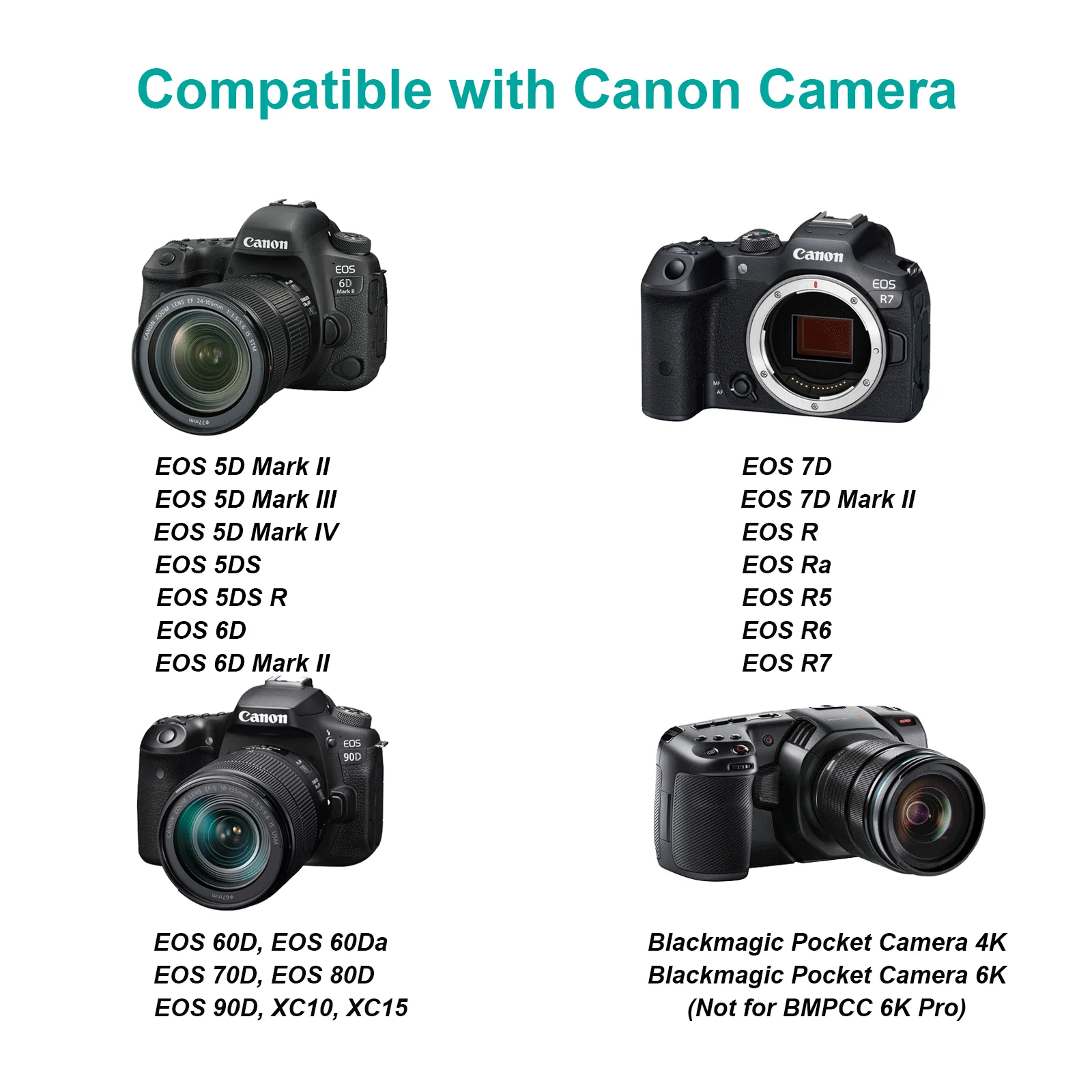 LP-E6NH استبدال بطارية لكاميرات كانون 5D مارك II III IV, 5Ds, 6D, 70D, 80D, R7, R6, R5, R, BMPCC 4K/6K, صندوق LP-E6