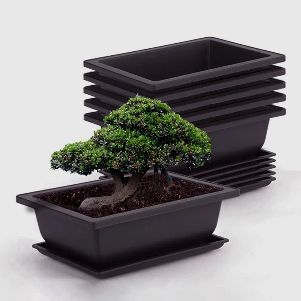 

5pcs Rectangular Plastic Flower Pots Small Bonsai Planters Succulent Containers Balcony Decor Square Cacti