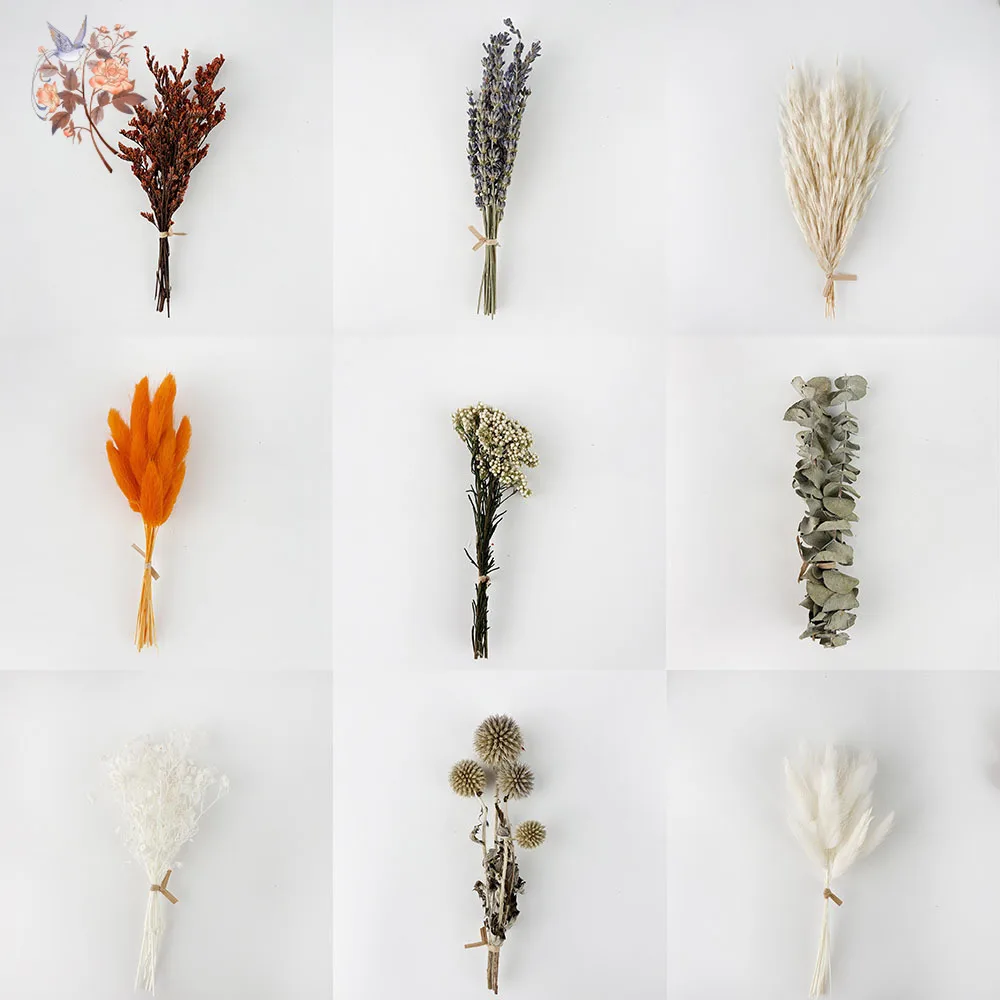 Natural Mixed Real Dried Flower Bouquet Set for DIY Bud Vase Arrangement Boho Home Decor Floral Material Kit Fall Centerpiece